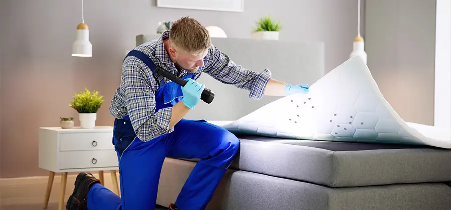 Residential Bed Bug Pest Control in Wilsonville