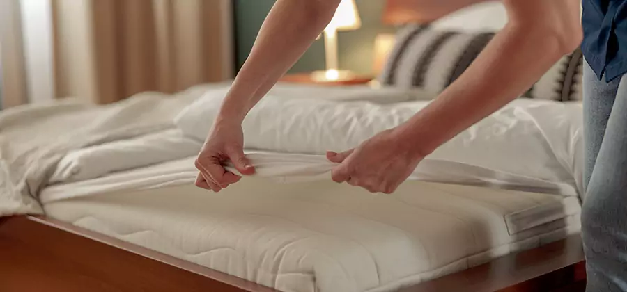 Bed Bug Extermination Services in Wilsonville