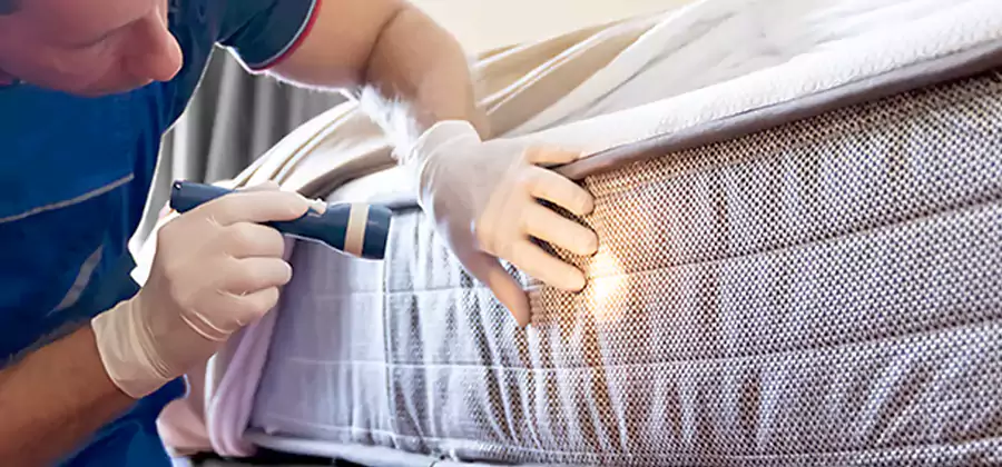 Residential Bed Bug Treatment Cost in Wilsonville