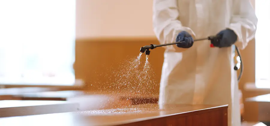 Residential Bed Bug Treatment Option in Wilsonville