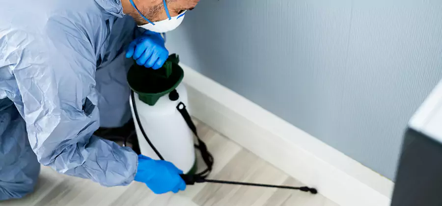 Fumigate Apartment Roaches in Wilsonville