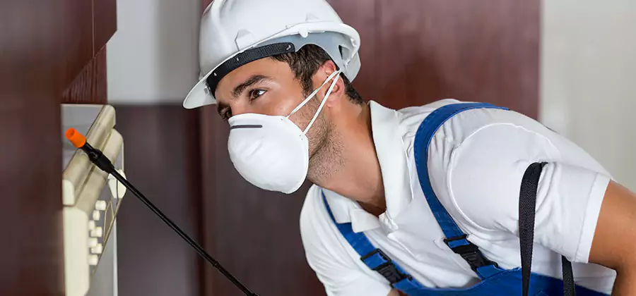 Injection Foam Treatment for Drywood Termites in Wilsonville