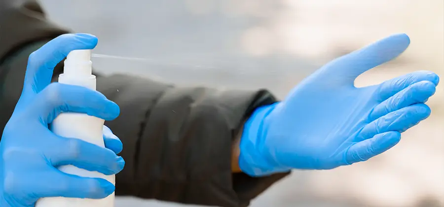 Office Emergency Bed Bug Removal in Wilsonville