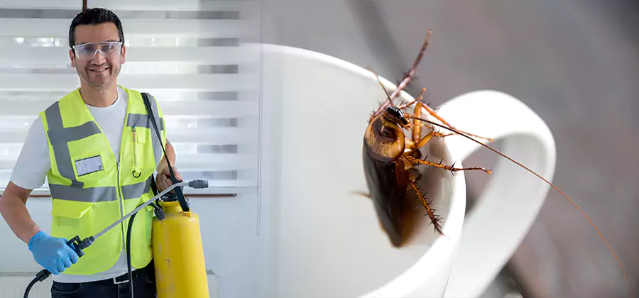 German Roach Infestation Treatment Wilsonville