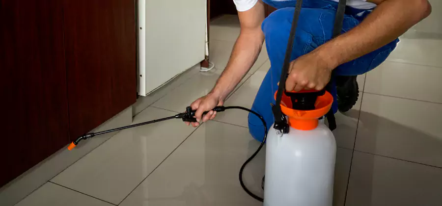 Indoor Mosquito Treatment in Wilsonville