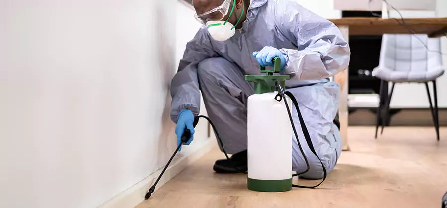 Long Lasting Mosquito Treatment in Wilsonville