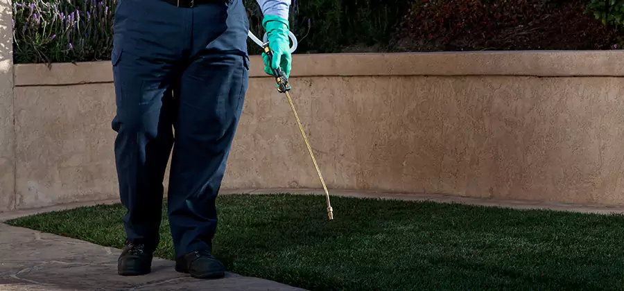 Soil Treatment for New Construction Termites in Wilsonville