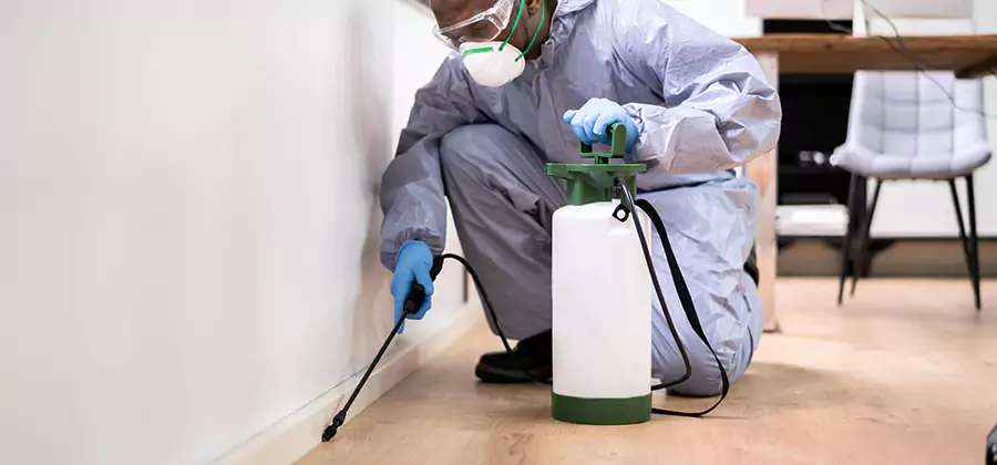 No Tent Termite Extermination With Electric Tool in Wilsonville
