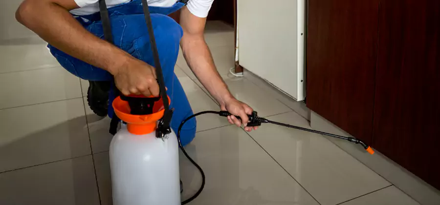 One Time Termite Control in Wilsonville