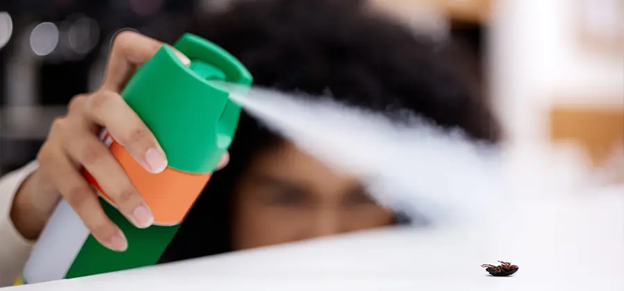 Child Safe Bed Bug Treatment in Wilsonville