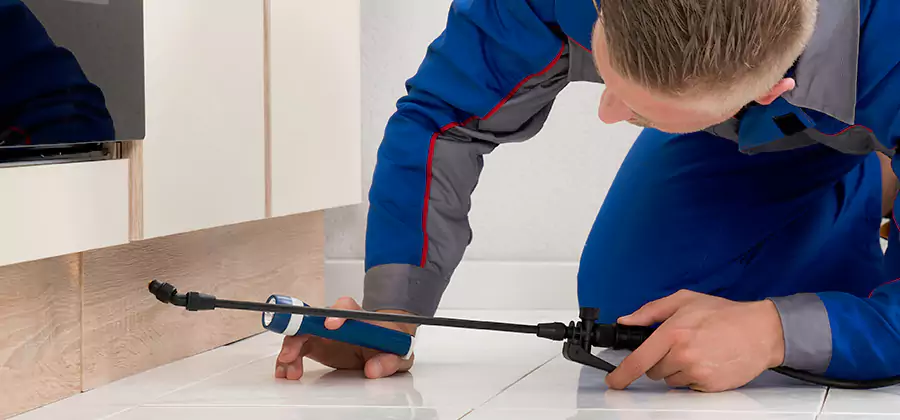 Moisture Treatment For Termite Control Service in Wilsonville