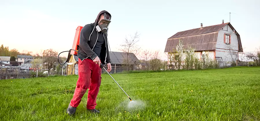 Flea and Tick Pest Control in Wilsonville