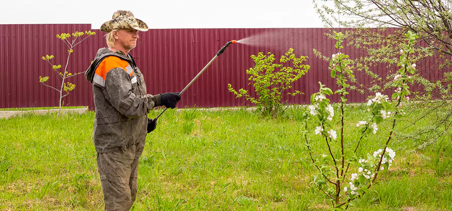 Flea and Tick Spray for Yard in Wilsonville