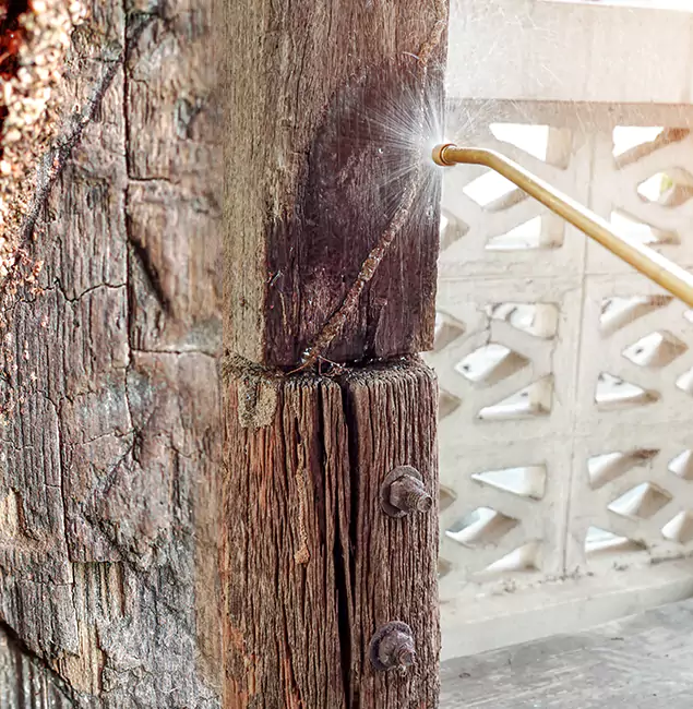 Why Choose Wilsonville Pest Control Pro for Attic Termite Treatment in Wilsonville, OR?