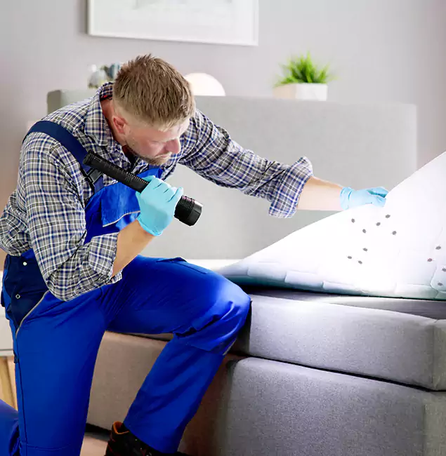 Why Choose Wilsonville Pest Control Pro for Bed Bug Exterminator Cost in Wilsonville, OR?