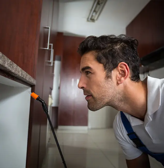 Why Choose Wilsonville Pest Control Pro for Bed Bug Removal Cost in Wilsonville, OR?