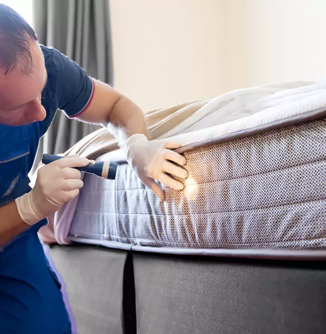 Why Choose Wilsonville Pest Control Pro for Bed Bug Services in Wilsonville, OR?