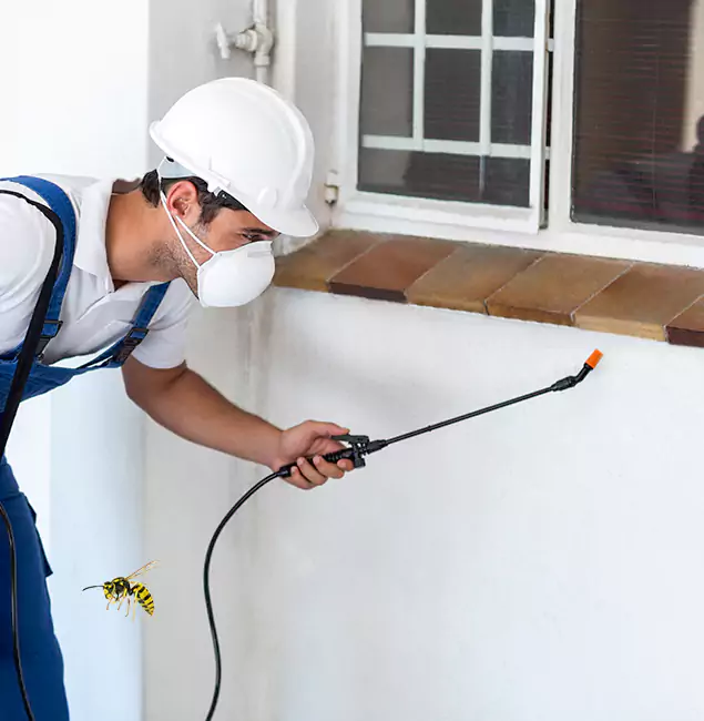 Why Wilsonville Property Owners Choose Wilsonville Pest Control Pro for Bee Nest Removal?