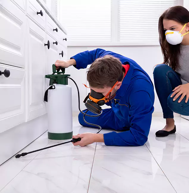 Why Choose Wilsonville Pest Control Pro in Wilsonville, OR?