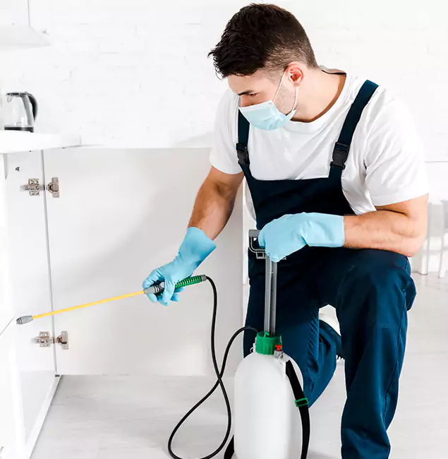 Why Choose Wilsonville Pest Control Pro for Emergency Pest Control in Wilsonville?
