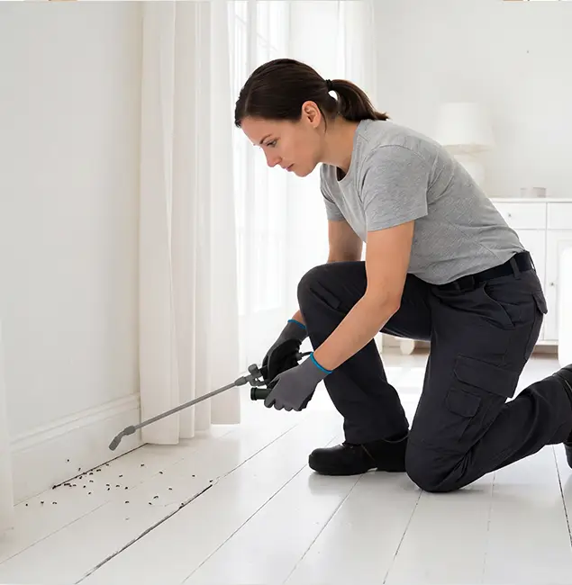 Why Wilsonville, OR Property Owners Trust Wilsonville Pest Control Pro for Fire Ant Control?
