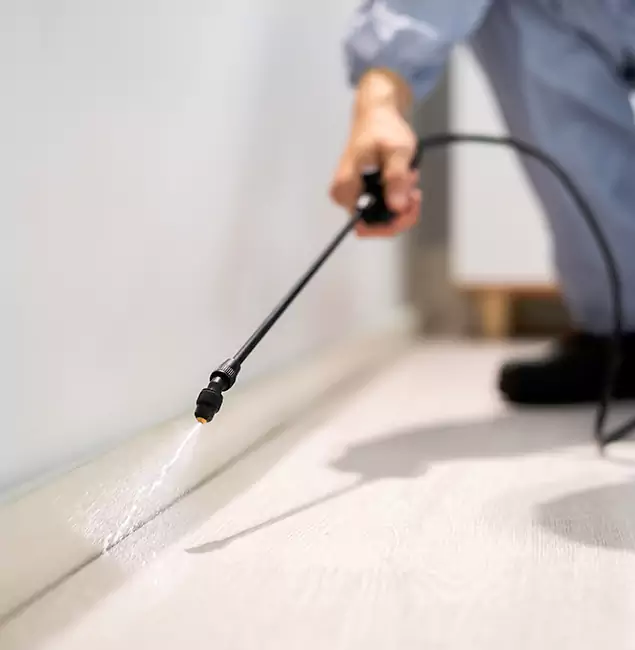 Why Choose Wilsonville Pest Control Pro for Termite Treatment in Wilsonville, OR?