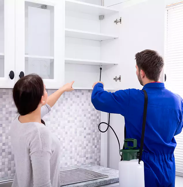 Why Wilsonville Property Owners Choose Wilsonville Pest Control Pro for Ground Bee Removal?