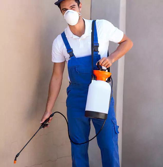 What Makes Wilsonville Pest Control Pro the Right Choice in Wilsonville, OR?