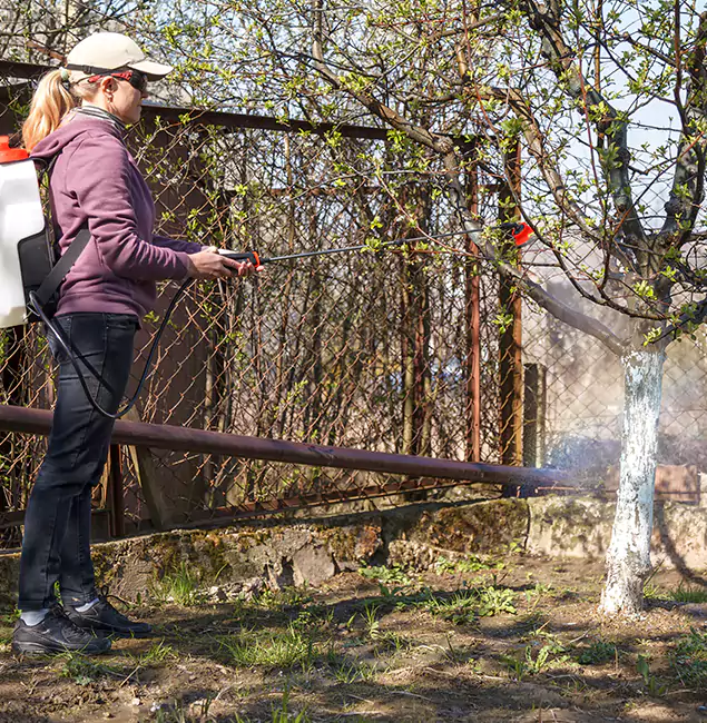 Why Wilsonville Homeowners Choose Wilsonville Pest Control Pro for Mosquito Abatement?