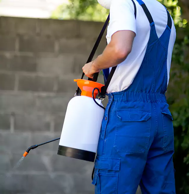 Why Wilsonville Homeowners Rely on Wilsonville Pest Control Pro for Mosquito Control?