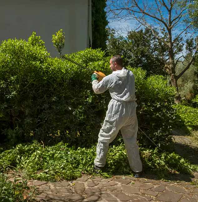 Why Wilsonville Pest Control Pro Leads Mosquito Control in Wilsonville, OR?