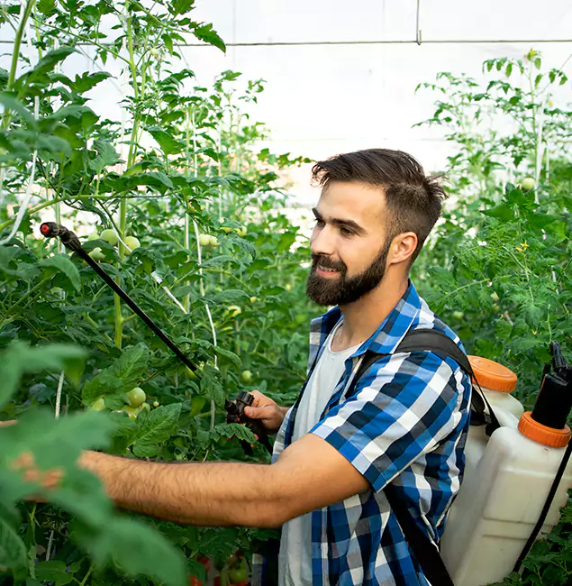 Why Wilsonville Homeowners Choose Wilsonville Pest Control Pro for Mosquito Spraying?