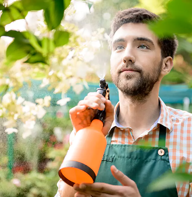 Why Wilsonville Homeowners Call Wilsonville Pest Control Pro for Mosquitoes in House?