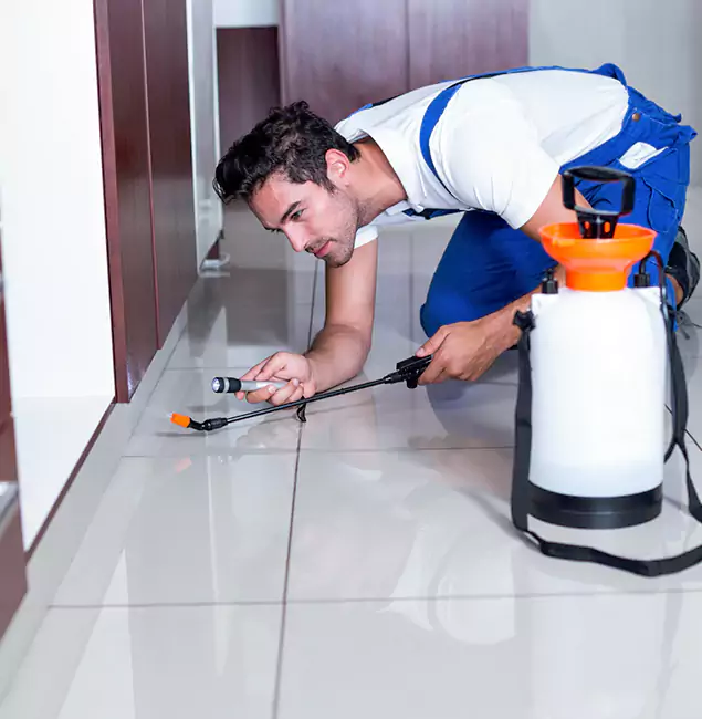 Why Wilsonville Pest Control Pro Is the Proven Choice in Wilsonville, OR?