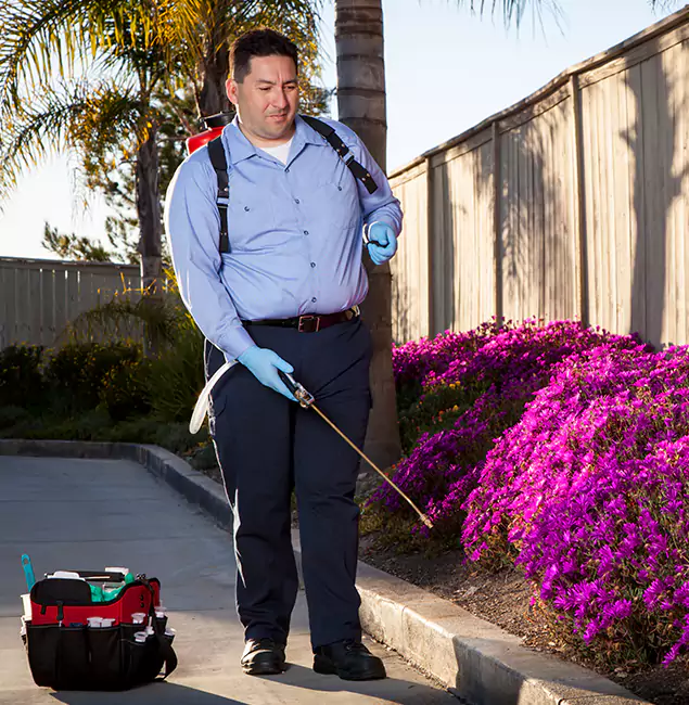 Why Choose Wilsonville Pest Control Pro in Wilsonville, OR?