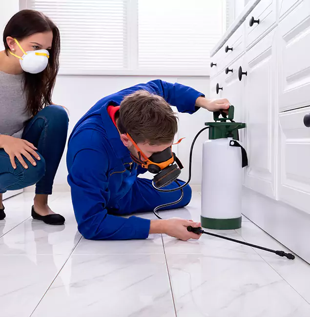 Why Choose Wilsonville Pest Control Pro in Wilsonville, OR?