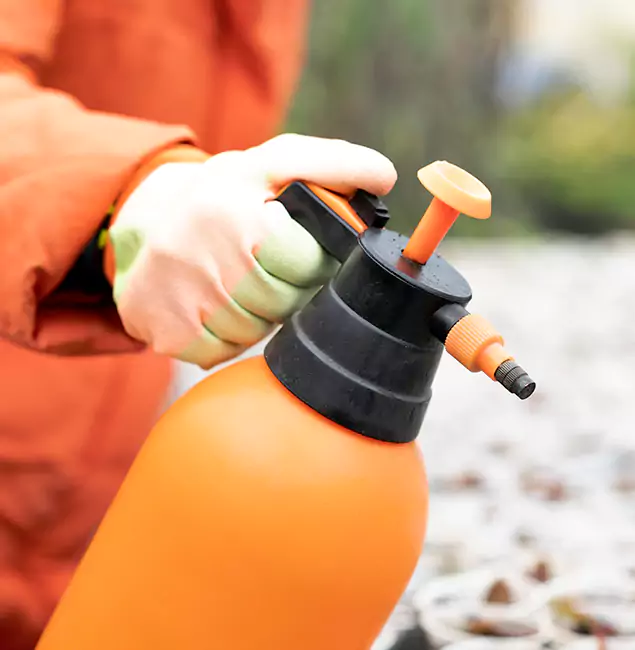 Why Choose Wilsonville Pest Control Pro for Orange Termite Treatment in Wilsonville, OR?