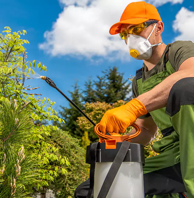 Why Choose Wilsonville Pest Control Pro for Outdoor Pest Control in Wilsonville, OR?