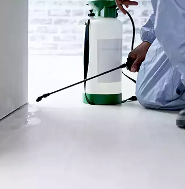 Why Choose Wilsonville Pest Control Pro for Rat Exterminator in Wilsonville, OR?