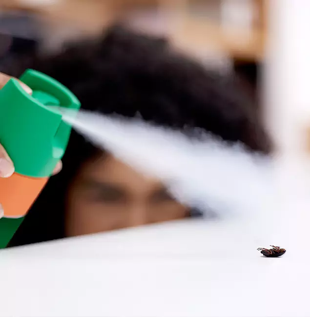 Why Wilsonville, OR Homeowners Choose Wilsonville Pest Control Pro for Roach Pest Control?