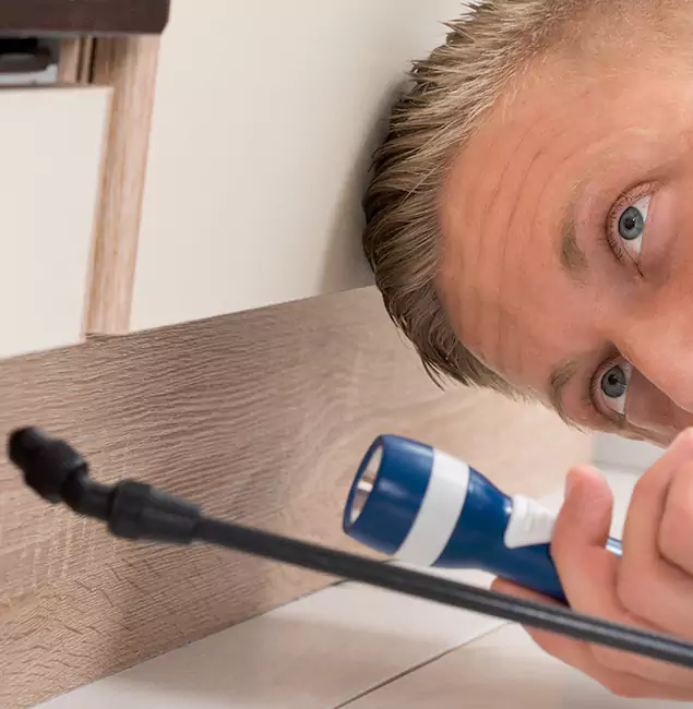 Why Choose Wilsonville Pest Control Pro for Rodent Exterminator in Wilsonville, OR?