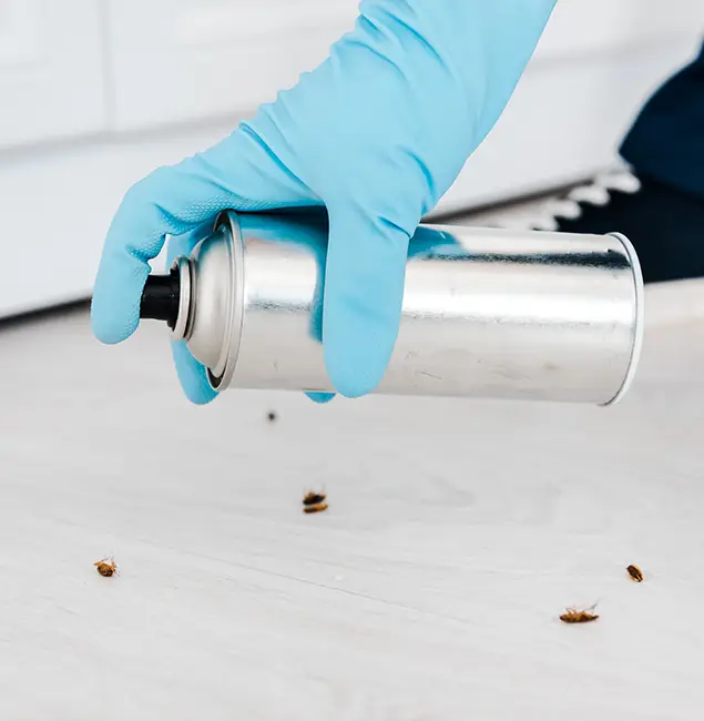Why Choose Wilsonville Pest Control Pro for Safe Bed Bug Treatment in Wilsonville, OR?