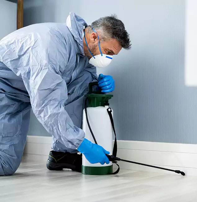 Why Choose Wilsonville Pest Control Pro for Subterranean Termites Treatment in Wilsonville, OR?