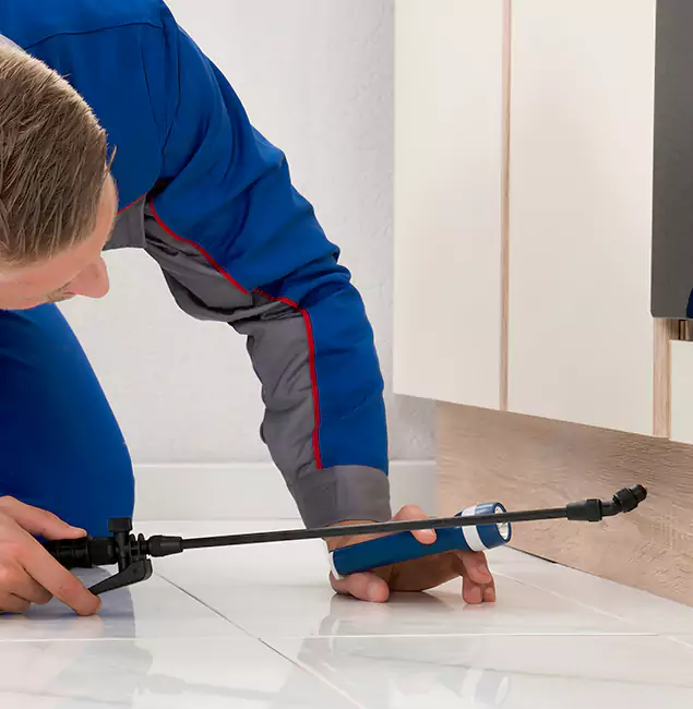 Why Wilsonville Residents Choose Wilsonville Pest Control Pro to Get Rid of Sugar Ants?