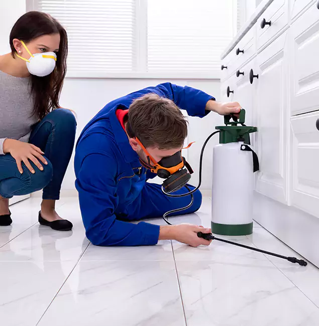 Why Choose Wilsonville Pest Control Pro for Termite Inspection Cost in Wilsonville, OR?