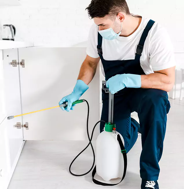 Why Choose Wilsonville Pest Control Pro for Termite Spot Treatment in Wilsonville, OR?