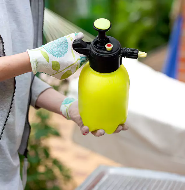Why Choose Us: Wilsonville Pest Control Pro Termite Spraying Experts in Wilsonville, OR?