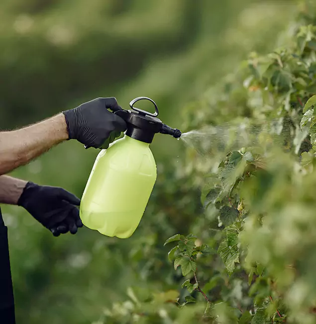 Why Wilsonville Homeowners Choose Wilsonville Pest Control Pro for Yard Tick Treatment?