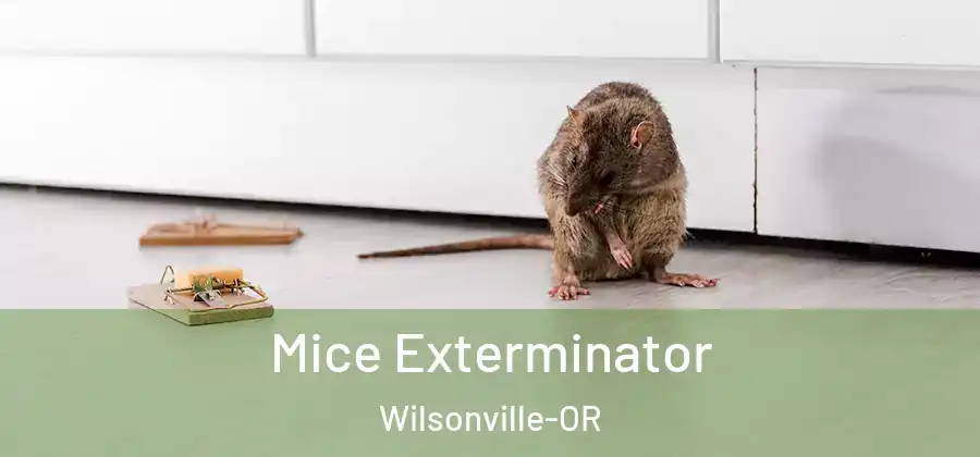  Mice Exterminator Wilsonville-OR