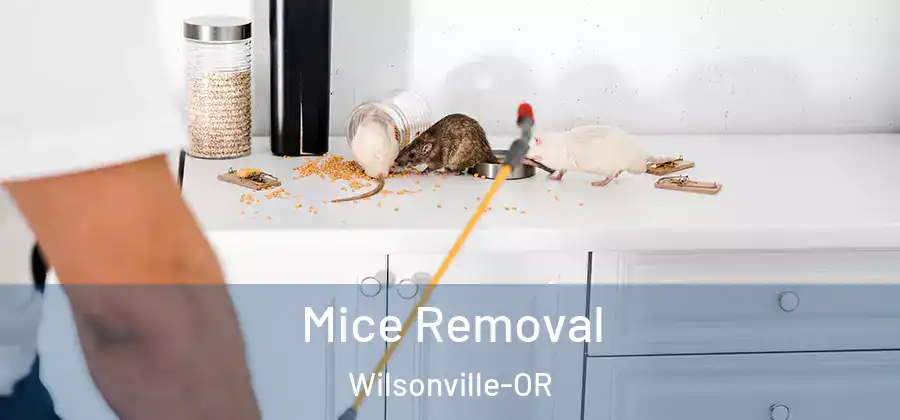 Mice Removal Wilsonville-OR